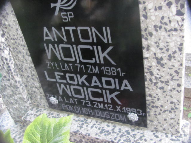 Antoni Wójcik 1910 Gołąb k/Puław - Grobonet - Wyszukiwarka osób pochowanych